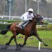 Ceke Farm (@cekefarm) Twitter profile photo