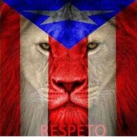 Noel Contreras (@chulonello) 's Twitter Profile