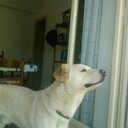 carmelo Bazzano - @carmelo_bazzano - Twitter