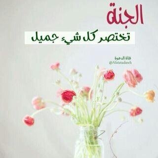 SalmaSuliman3 Profile Picture