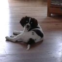 Ed Koopman - @ed_koopman - Twitter