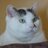 simasimaxp3's profile image