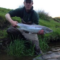 Phillip Richards (@philrich10) 's Twitter Profile