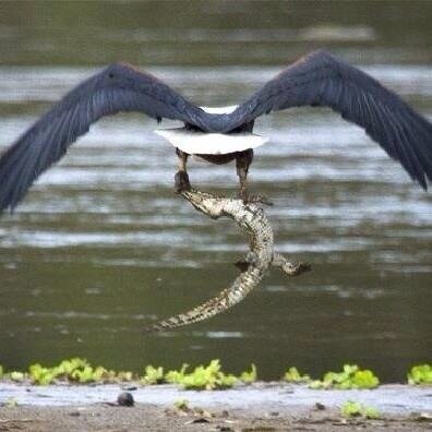 coachjbeast29's profile picture. 