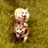 domkorbel's profile image