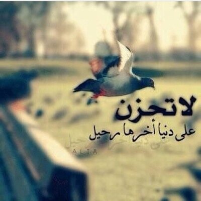 استغفرالله واتوب اليه ❤️