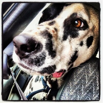 itscleandirt's profile picture. 