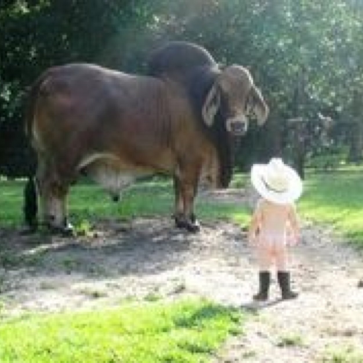 Huge Rodeo Fan...... Like they say Drink'in Fight'in Lovin 'n ............Cowboy Stuff