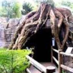 TeresitaMccloud's profile picture. My story; Tv geek # Music fanatic ,