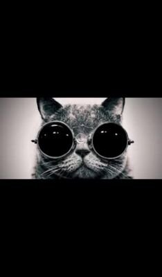 Ed Sheeran, One Direction,  5 Seconds Of Summer, Birdy, Eminem, Beyonce. Follow back bitchesss.