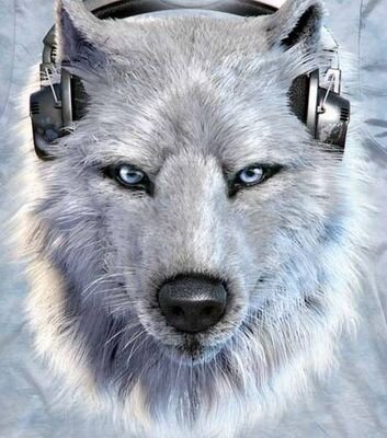 Things I Love: Video Games, TTRPGs, Animals, Guitar, My Family, Nature, Equality

 
   Things I Hate: Racists, Homophobes, Sexists, Big Business, Animal Abusers