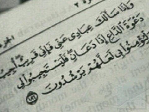 ردد معي :الحمد الله عدد ما خلق ،والحمدالله ملء ماخلق، والحمدالله عدد مافي السماوات ومافي الارض اللهم حسن الخاتمةة