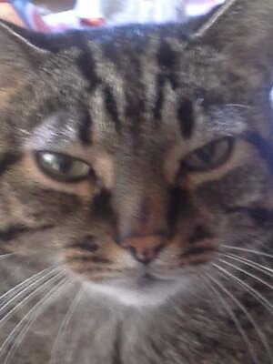 FEIHU69's profile picture. American Made! I belive in the golden rule!