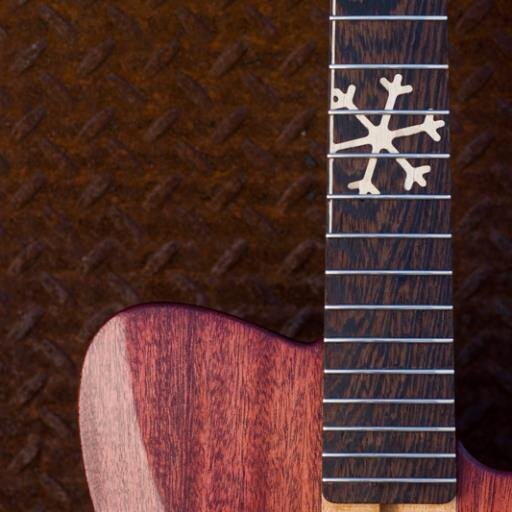 wotzBotz2's profile picture. Guitars for the Addicted