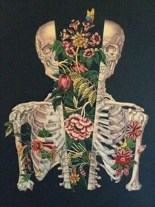 carpe diem