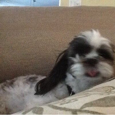 triciamay2's profile picture. 