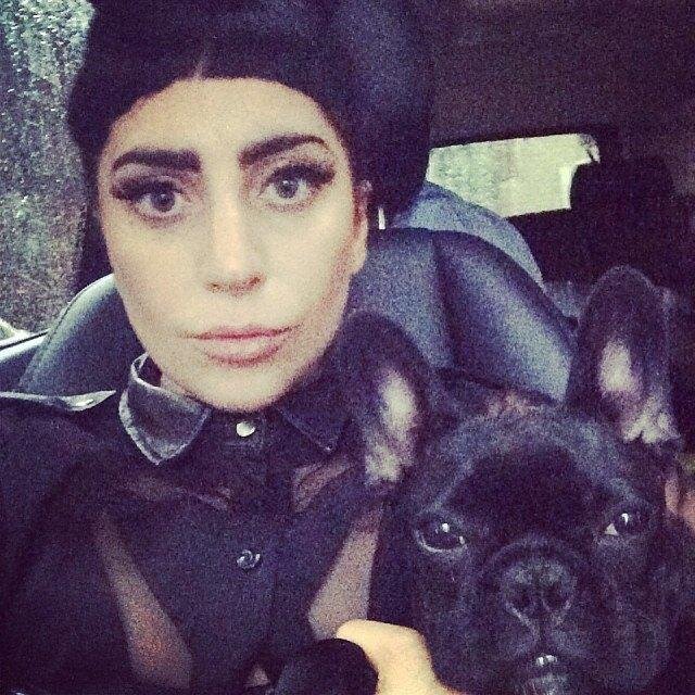 Simmer e LitlleMonster