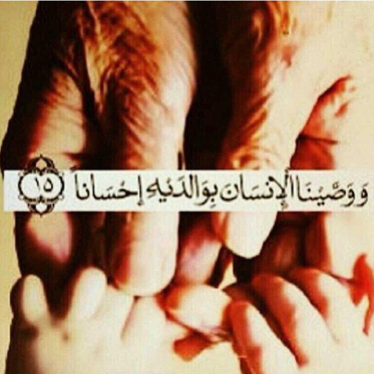 اللهم أرحم أبي #عبدالرحمن_عبدالغني اللهم أسألك له الجنات العلى من الجنه ..