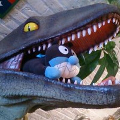 💛ちょっぴー🐊🌼