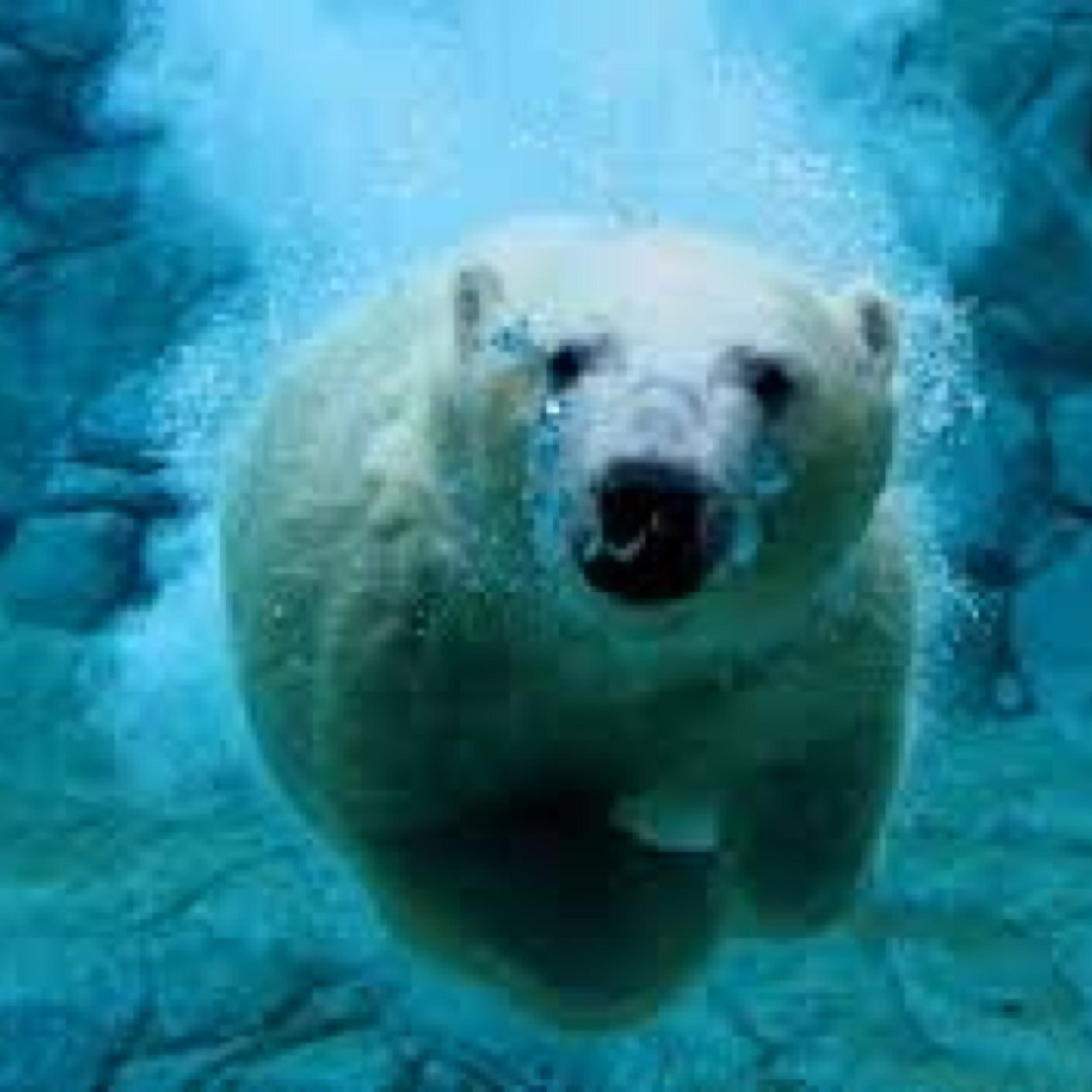 creasecreature's profile picture. 