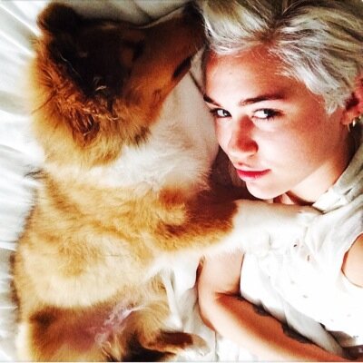 WeLoveEmu's profile picture. Smilers love Emu! ❤️