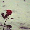 ♡♡ (@58Looly6) Twitter