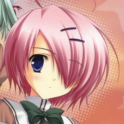 白石 なごみさんのプロフィール画像