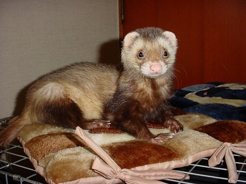 rimi_6190's profile picture. 🐨ドラゴンズファン🐲【2025現地3勝1敗】 🏟️主に東京ドーム・神宮で小学生の息子と観戦してます /////その他：ゲーム好き＆歌ったりしてます///// 📝フォローご自由にどうぞ