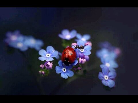 PowerAdora's profile picture. Power excelent