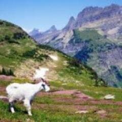 NarniaAtkins's profile picture. Lifelong gamer  ... Bacon buff ;