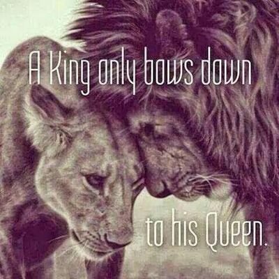 adulthosing's profile picture. 