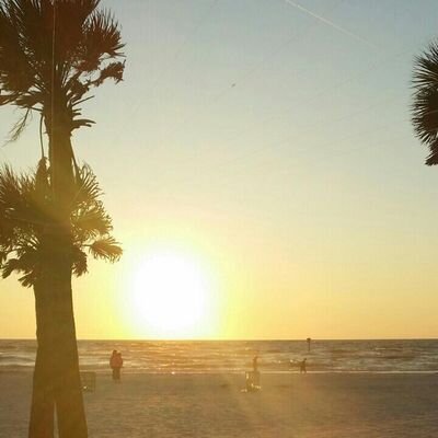 ArnesonPaige's profile picture. 