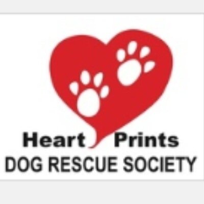 Heartprintsdog's profile picture. Rescue, rehabilitate and find forever homes for small breed dogs who need us. 5 pounds - 20 pounds.