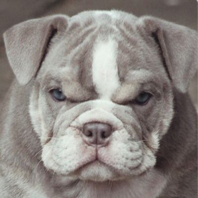 tlindlahr's profile picture. 