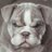 tlindlahr's profile image