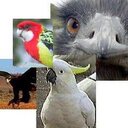 John Shrader - @JShrder2 - Twitter