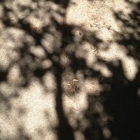 Frédéric Paul (@_frederic_paul) 's Twitter Profile