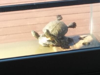 tsuta0712's profile picture. 