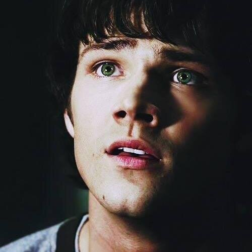 Saving people,hunting things wasn't the real family business.It's actually trying not to die.  |RP Account|Gay & looking|Multishipper