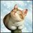 drowii04's profile image
