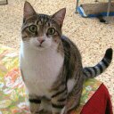 ora hall - @hall_ora - Twitter