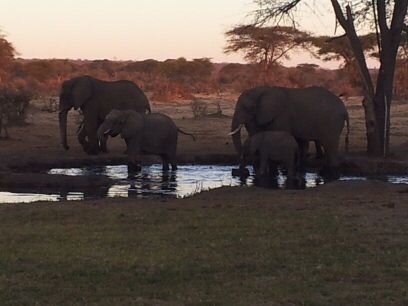 FabianBlech's profile picture. 