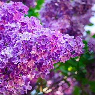 TheaFout's profile picture. Unapologetic coffee enthusiast  ...  .  10 years ... Passionate troublemaker