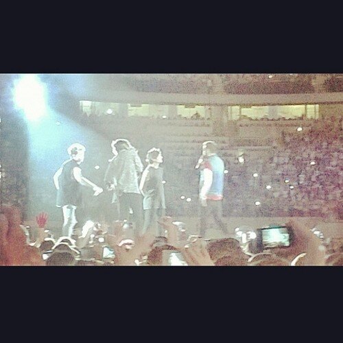 Nicole_Frasca's profile picture. Mi mancate idoli 28 giugno 2014 @onedirection