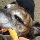 Susan Higham - @highamwigwam - Twitter