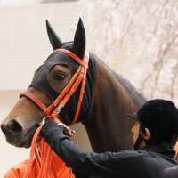 Skeiba (@mokky418) 's Twitter Profile