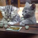 hiro (@1970rinchan) Twitter