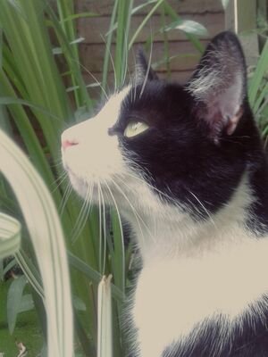 PilbeamLizzie's profile picture. 1/6♥