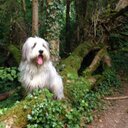 Sabine Mann - @sab_mann - Twitter