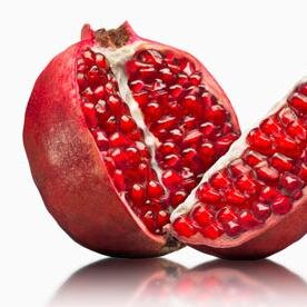 Believe in the Pomegranate like Mikasa did ~ im like Jesus now ~ Bow down Peasant